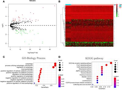 Development of a Novel Autophagy-Related Prognostic Signature and Nomogram for Hepatocellular Carcinoma